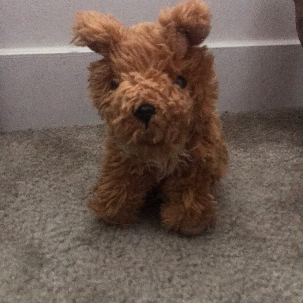 Kids puppy toy